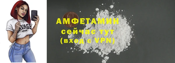 мяу мяу мука Аркадак