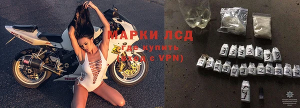 мяу мяу мука Аркадак