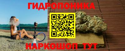 стафф Анжеро-Судженск