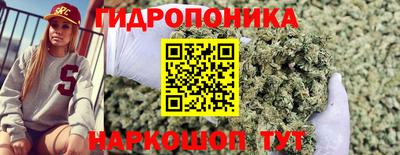 ГАЛЛЮЦИНОГЕННЫЕ ГРИБЫ Ангарск