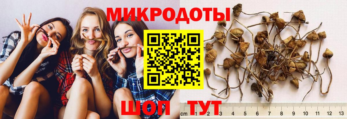 Псилоцибиновые грибы ЛСД  Галлюциногенные грибы ЛСД  Вход с VPN  наркотики  Пермь 